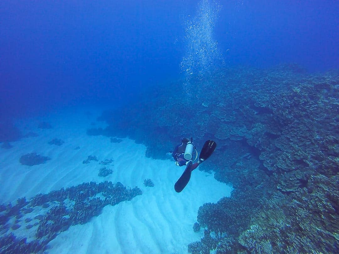 A scuba diver fins through crystal clear water on an Easter Island diving trip.