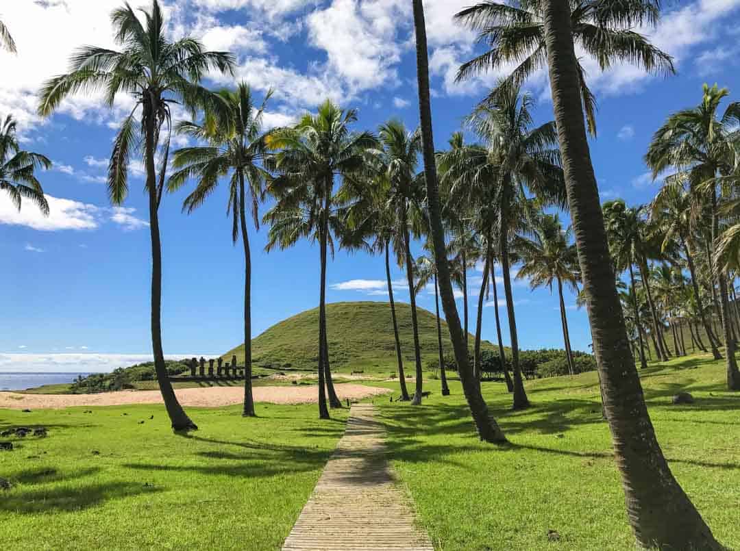 Palm trees sway over Anakena Beach, a highlight of an Easter island trip.