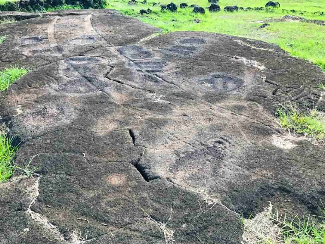 Carvings of marine creatures cover the rocky ground at Papa Vaka.