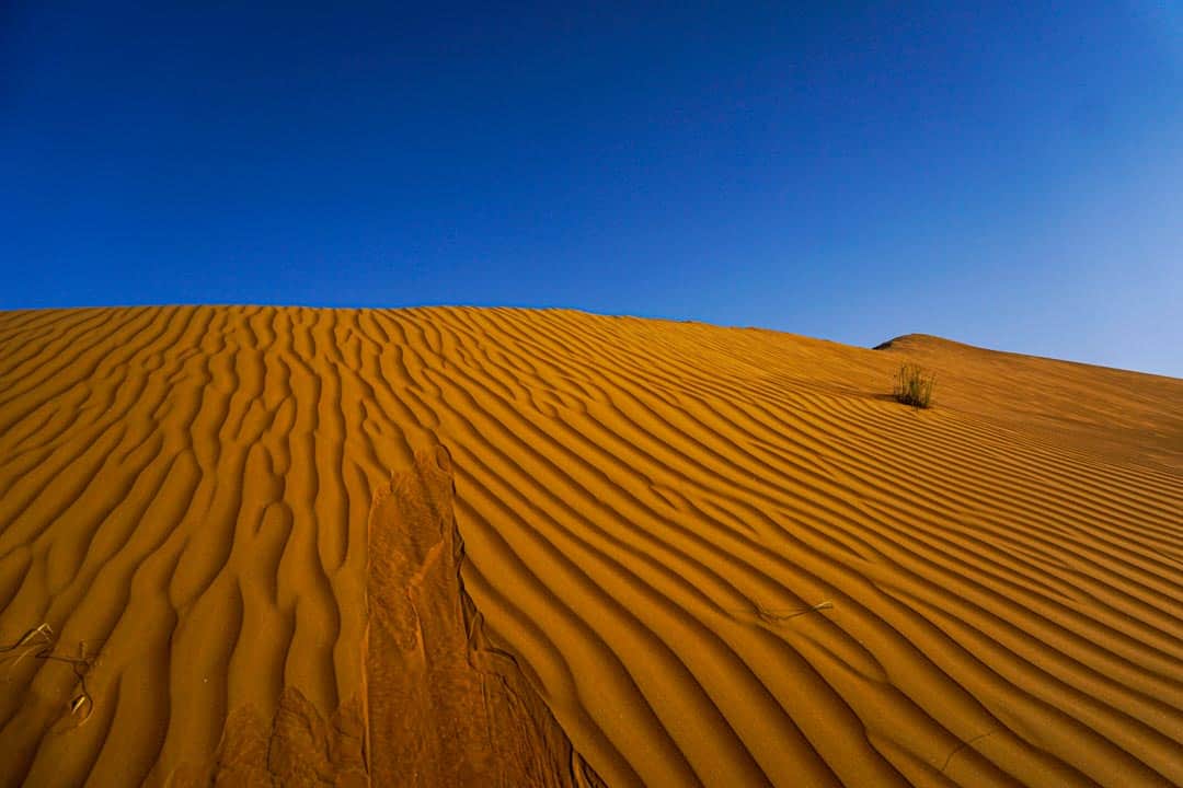 Oman self drive into Sharqiya Sands