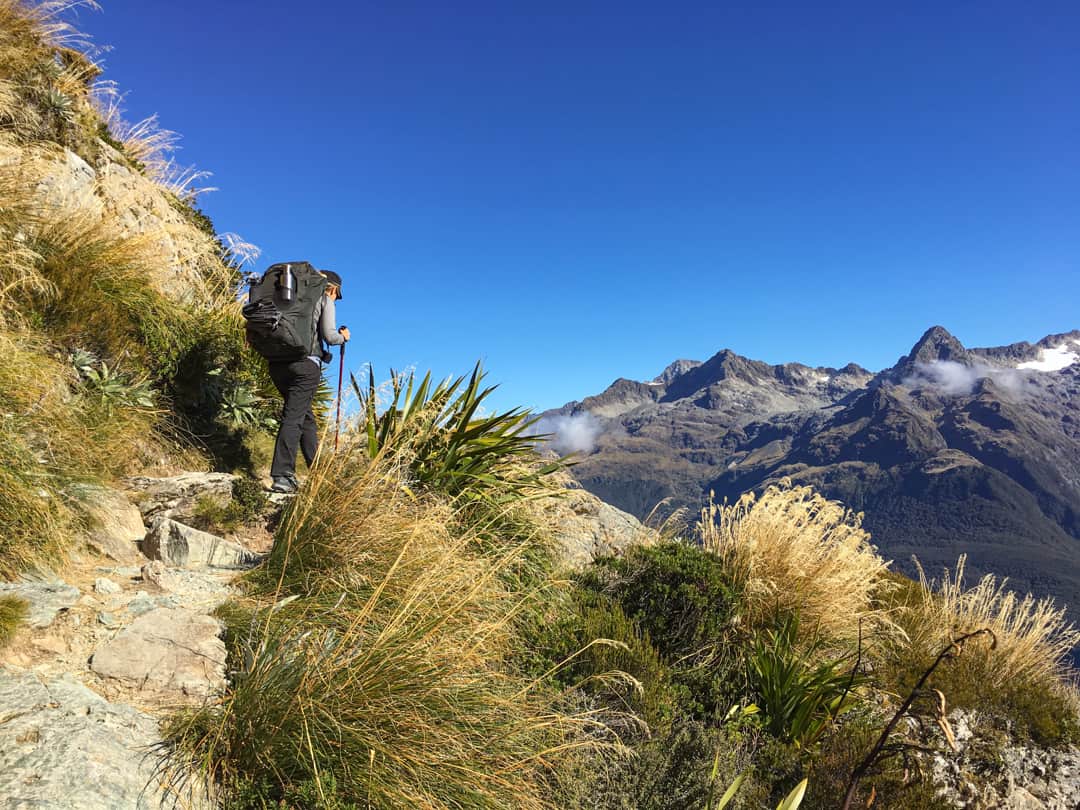 Hiking The Routeburn Along The Hollyford Face.