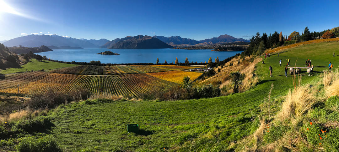 South Island New Zealand points of interest: Rippon Winery