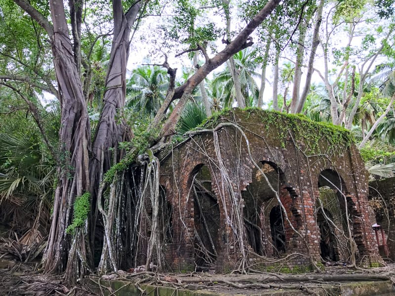 Vines reclaim a building on Ross Island.