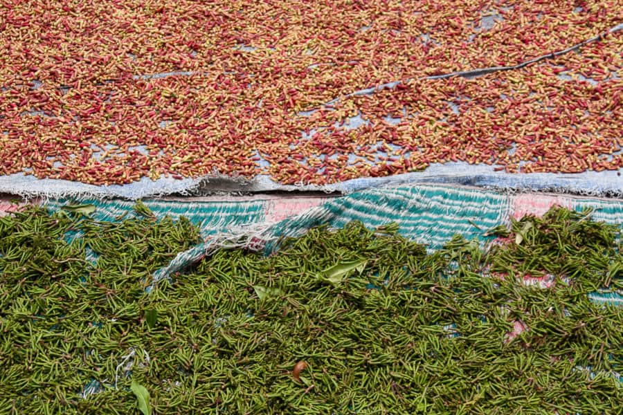 Cloves drying on a roadside in Flores – making strong scent that was a constant companion during our Flores travels.