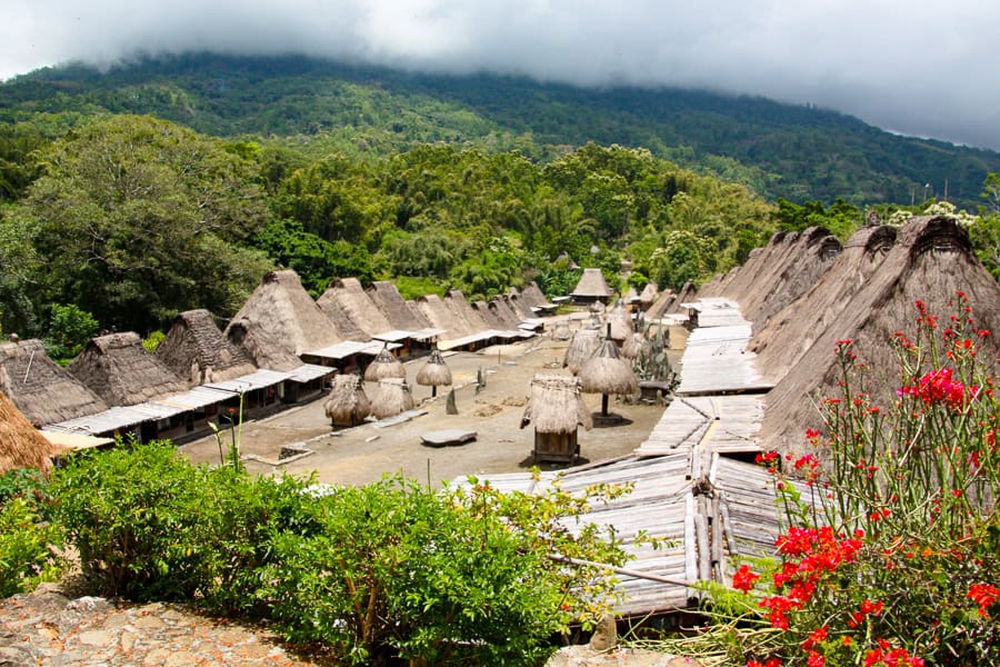 Traditional Bena village in Flores, surrounded by trees with a mountain backdrop – visited on our Flores and Komodo tour.