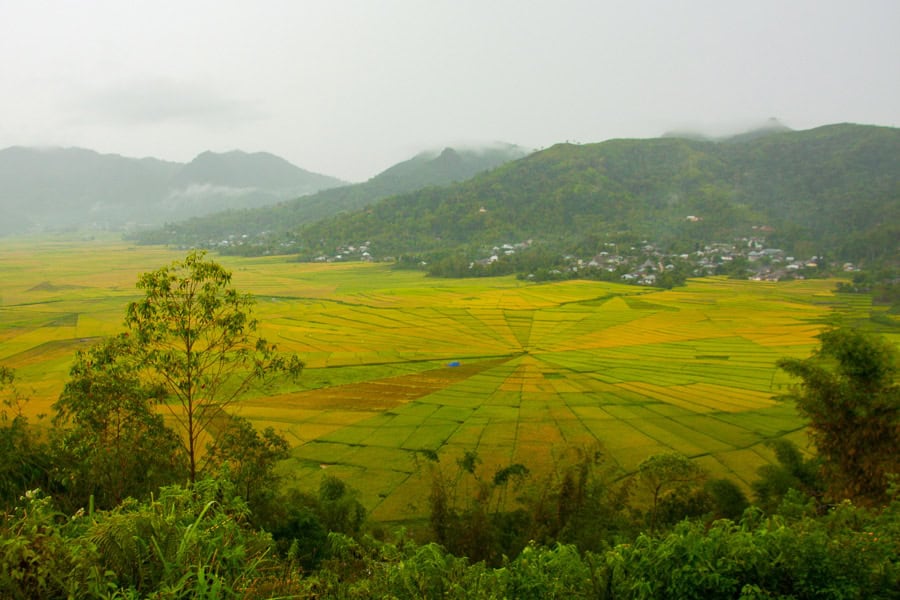The spiderweb rice fields near Cancar surrounded by low hills on a rainy day - one of the more unique things to do in Flores.