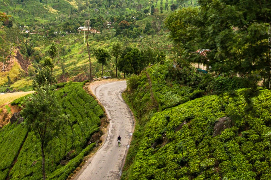Asian Road Trips: A lone cyclists winds along a road through hills of tea plantations in Sri Lanka.