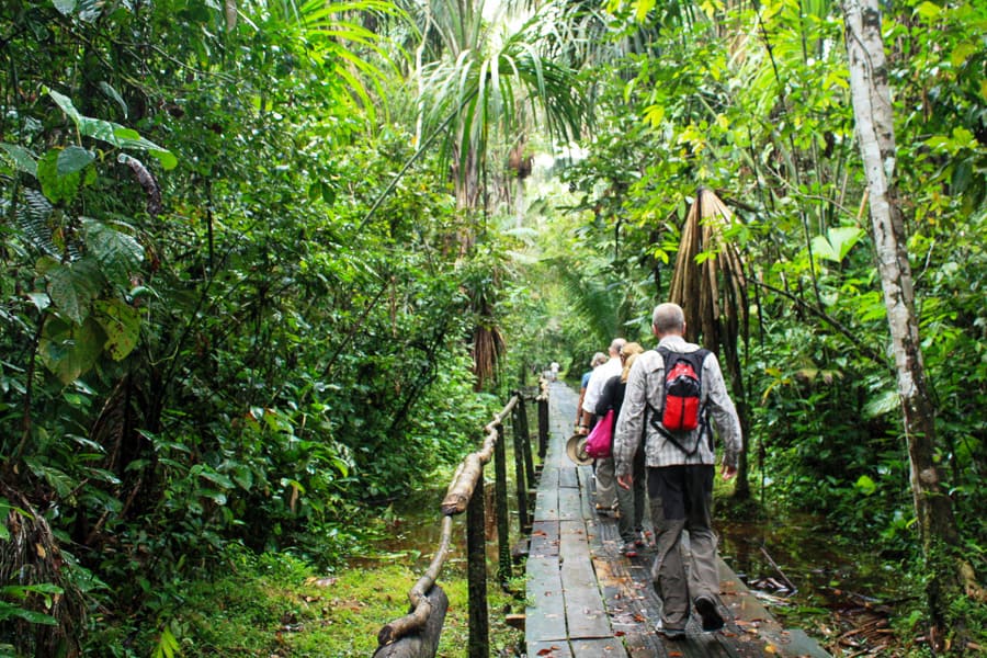 World's best adventures: Four people walk along a wooden boardwalk surrounded by lush, green Amazon jungle.
