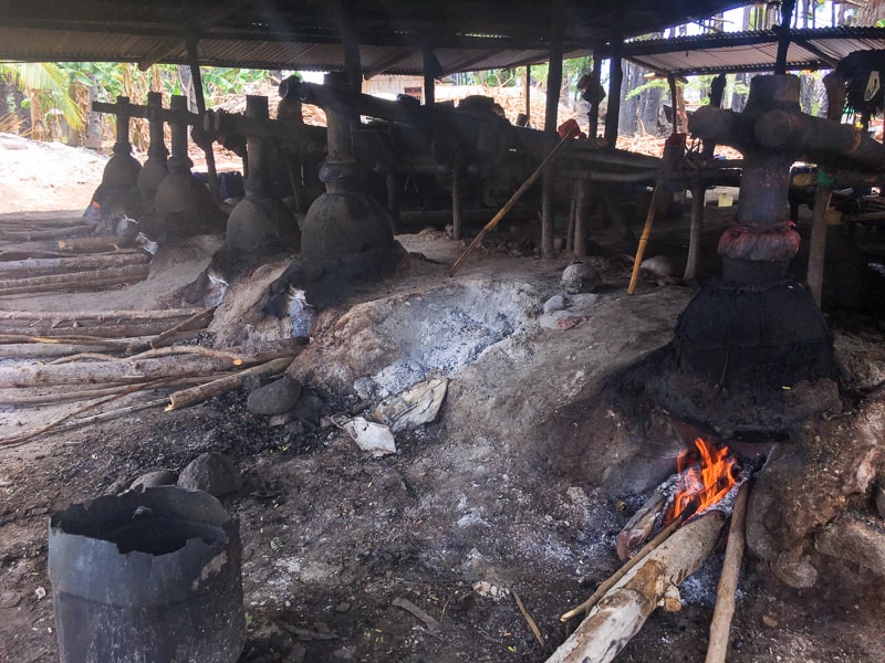 Things to do in Flores – visiting a traditional arak distillery