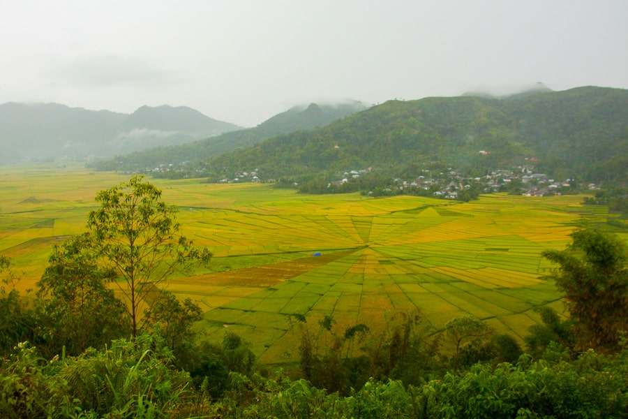 Visiting the spiderweb rice fields is one of the more unique things to do in Flores.