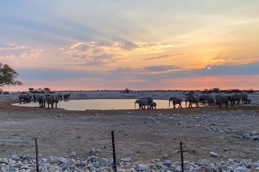 Elephants surround a waterhole at sunset in one of Africa's more offbeat adventurous places: Namibia.