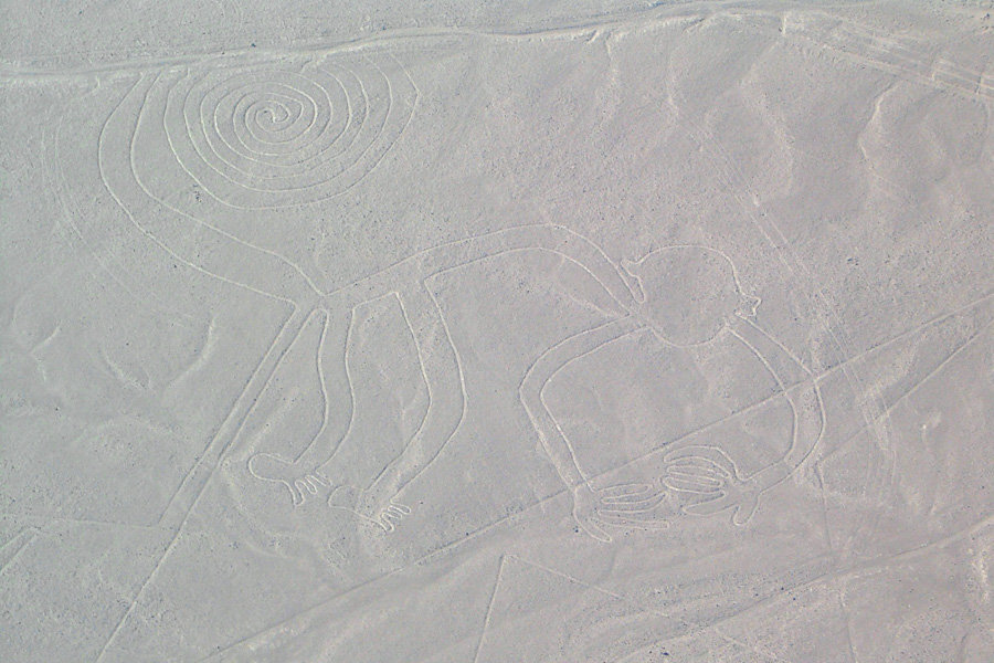 Offbeat adventures: A monkey with a curling tail is one of the geoglyphs scratched into the desert at Nazca.