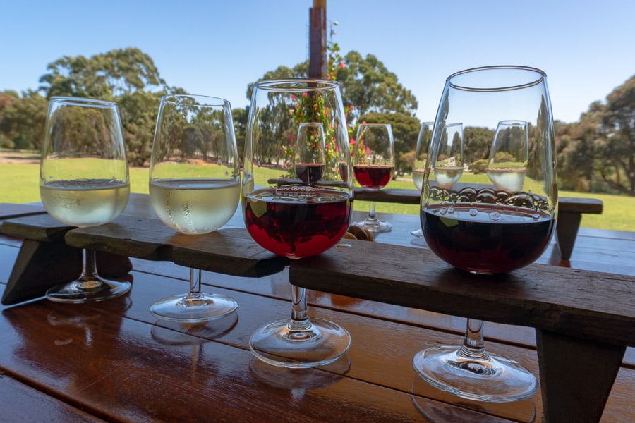 A tasting flight of white and red wines at a cellar door on a Perth to Margaret River trip.
