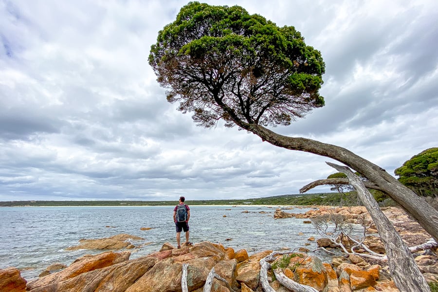 Eagle Bay, another contender for the most beautiful beach in the south west of Australia.