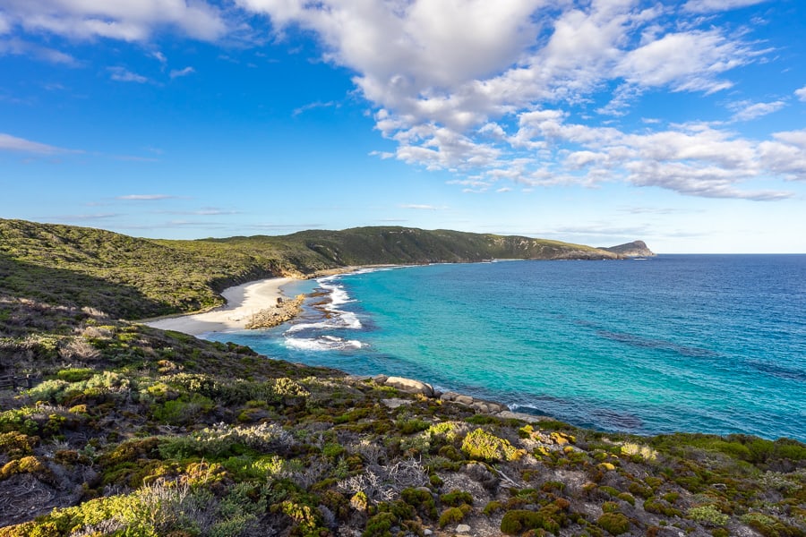 Coastal heath, white sand and turquoise sea at Cable Beach near Albany, possibly one of the most beautiful beaches in Australia.