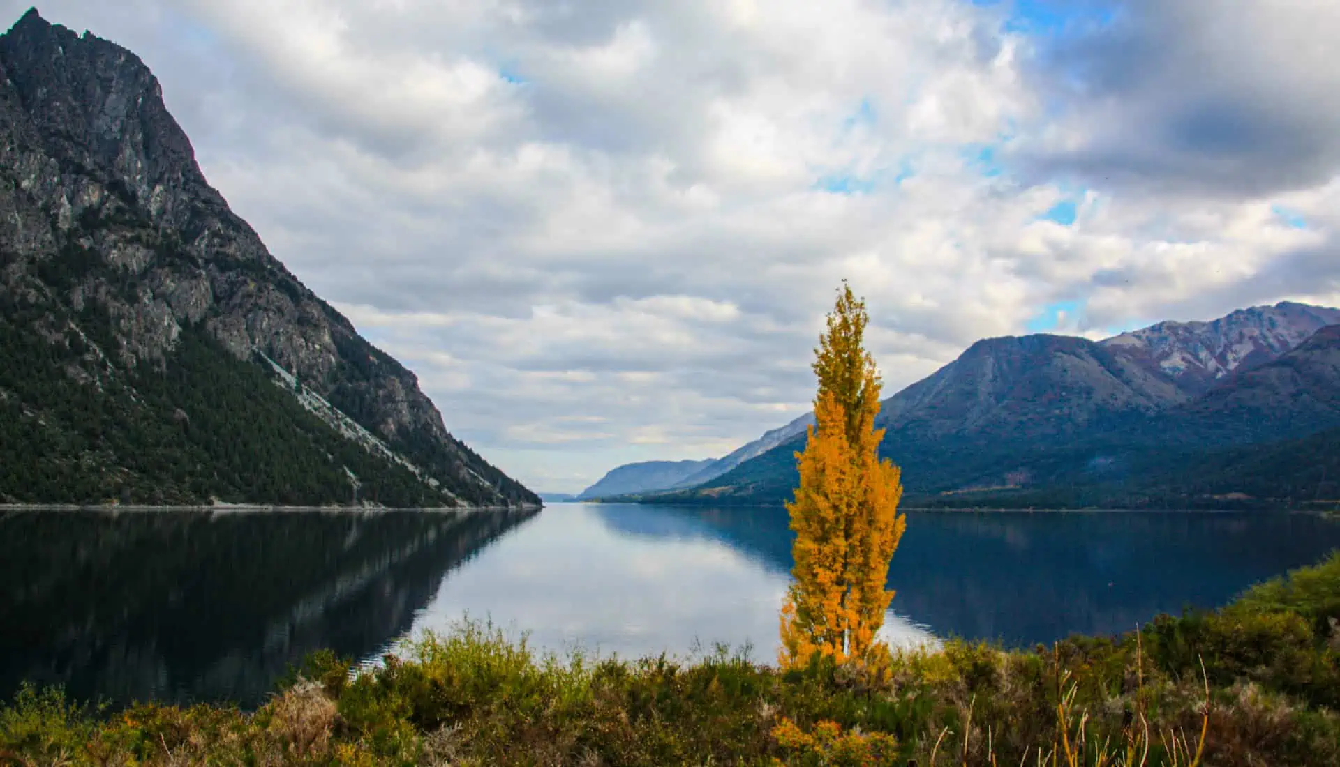 A lone yellow leafed tree stands out against a lake backdrop on the Route of the Seven Lakes.