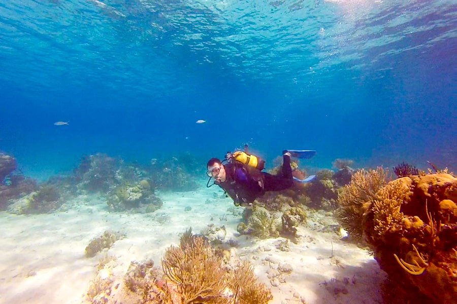 A scuba diver swims through crystal clear water past soft corals in the Bay of Pigs on Day 8 of our Cuba itinerary.