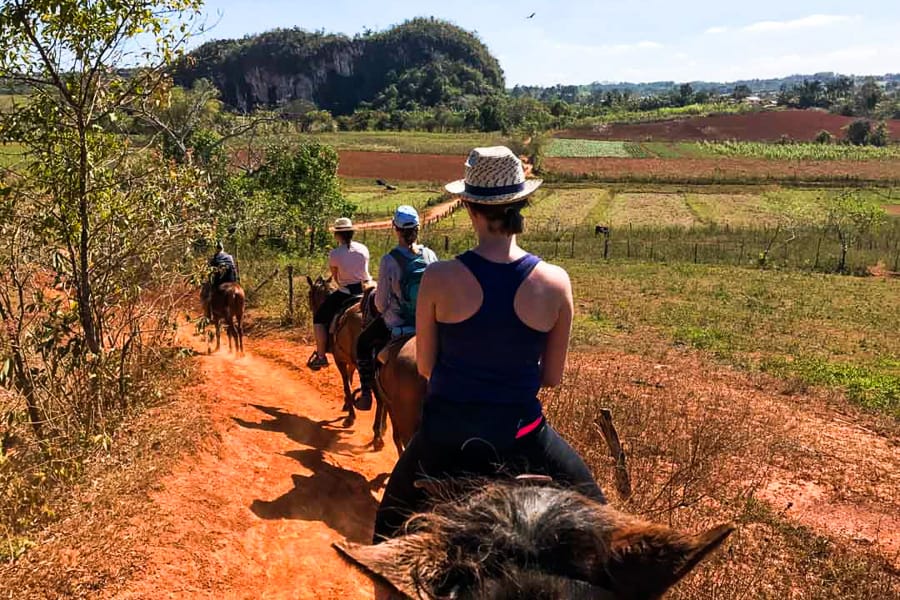 A line of horses and riders trot along a track in Vinales on Day 5 of our two weeks in Cuba.