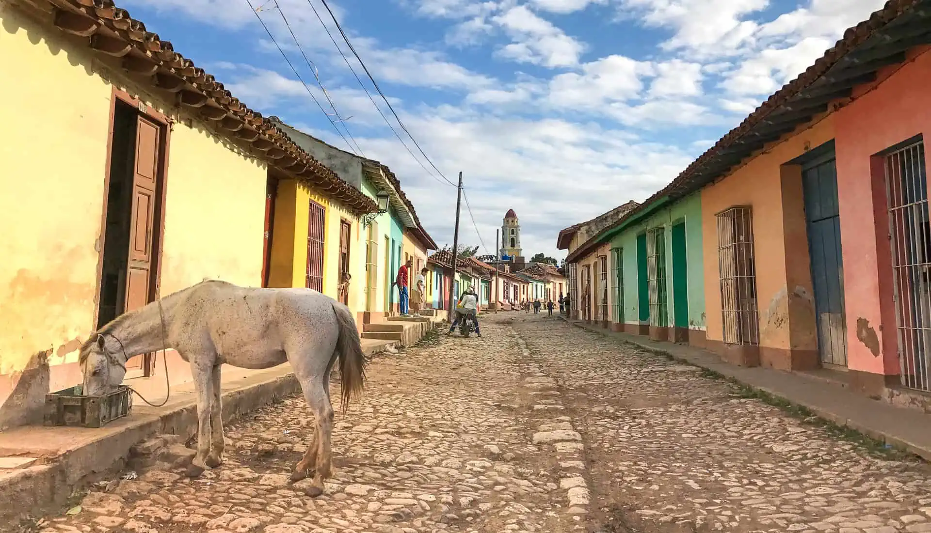 Horse feeds at trough on street with bright houses during Cuba visit.