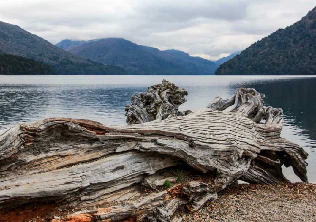 Epic lake views like this one await on the Route of the Seven Lakes, one of the best things to do in Bariloche.