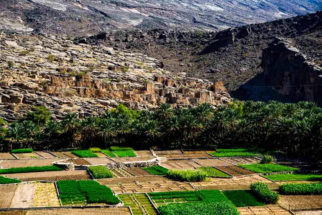 Fabulous views across lush green farms towards Al Hamra, a highlight of our Oman off road adventure.