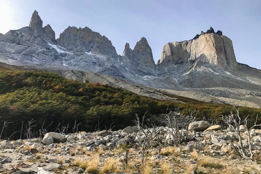 Looking towards mountains rising above forest with tree stumps and rubble in the foreground in Torres del Paine National Park.