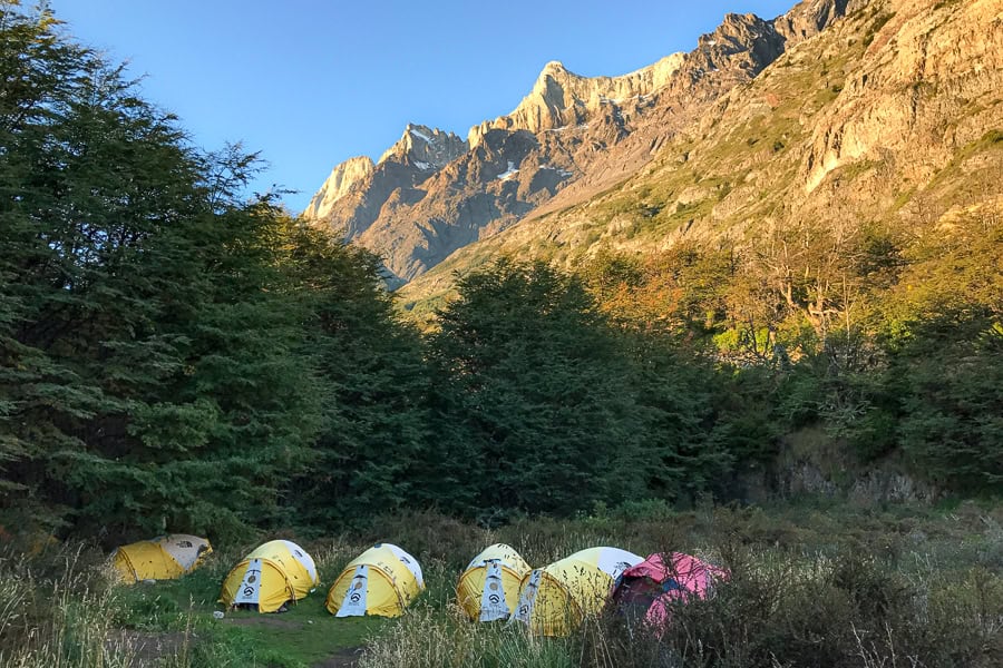 Yellow tents cluster in front of trees with a mountain in the background on the W Trek Torres del Paine.