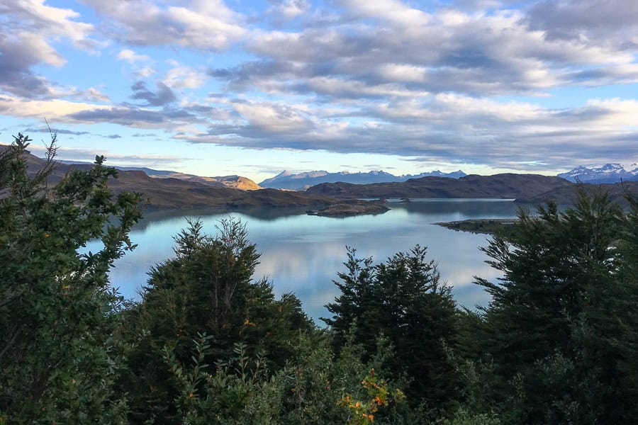 Clouds reflect off a lake with trees in the foreground on the Torres del Paine trek.