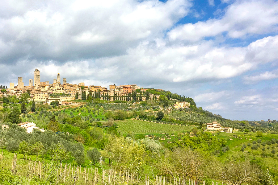 Views across vineyards to San Gimignano, arguably one of the most beautiful hill towns of Italy.