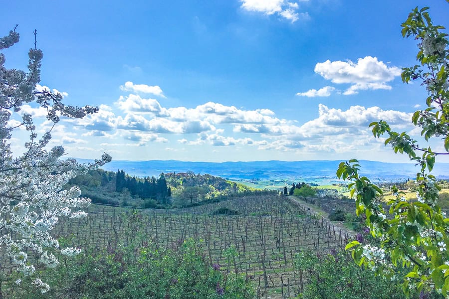 View over the vineyards of the Chianti wine region which you can visit on a longer Tuscany road trip.
