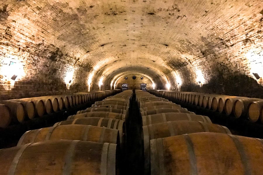 Wine barrels stretch into the distance at Cousiño Macul’s wine cellar during a Maipo Valley wine tour.