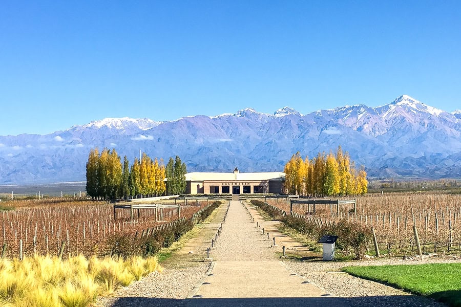 Views across vines towards the cellar door of Bodegas Salentein with the snowcapped Andes Mountains in the background.