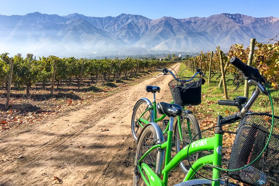 Bikes sit beside the vines with a mountain backdrop during a Maipo Valley wine tour in Santiago.