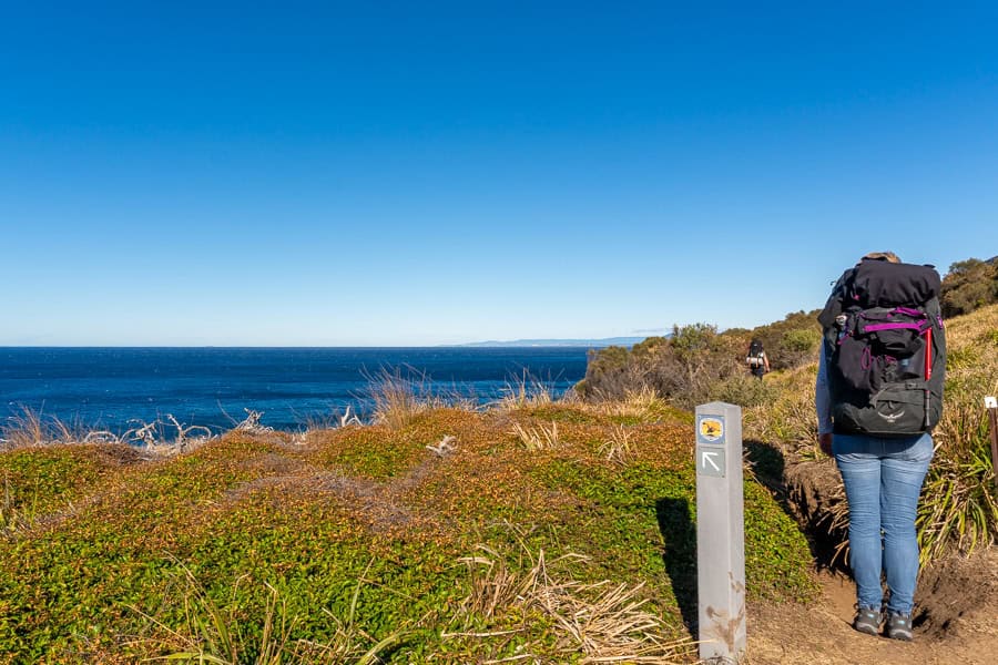 A hiker looks towards the ocean standing next to a directional trail sign – common for walks in the Royal National Park.