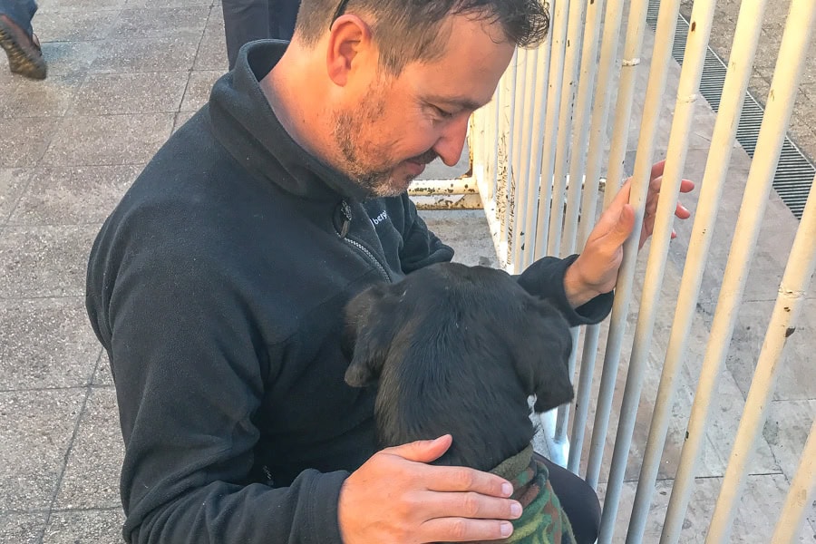 A friendly quiltros street dog says hello outside La Moneda Palace, meeting them was one of our Highlights of Santiago Chile.
