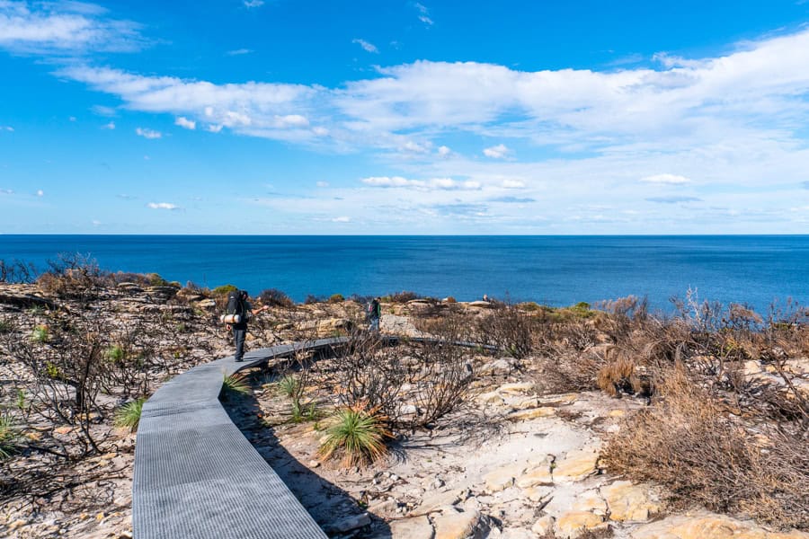 Hikers walking along a raised track on the Royal National Park coastal walk with blue skies for company.