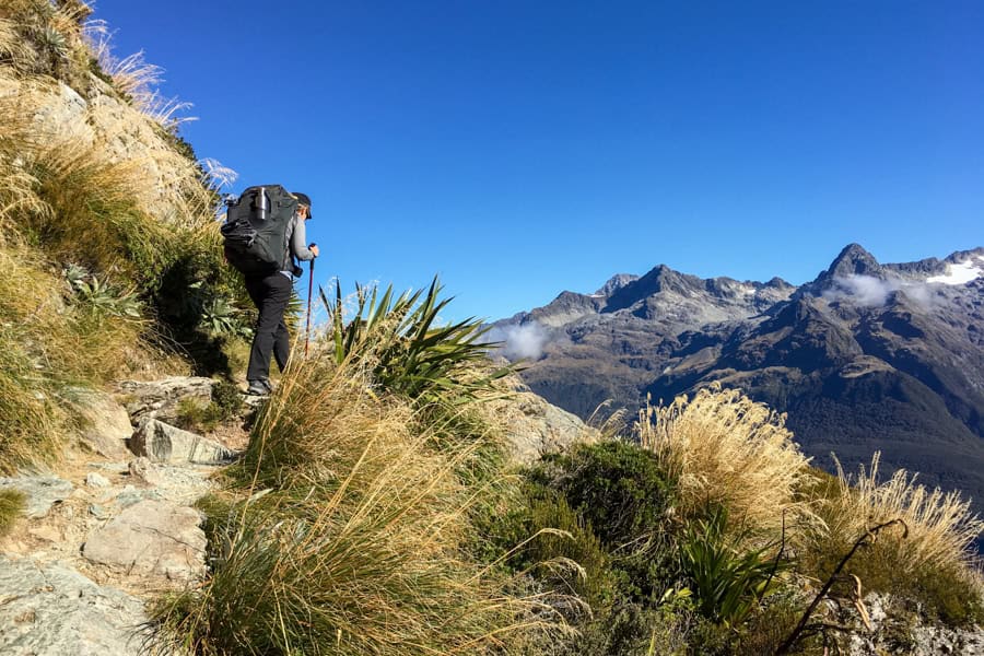 A person hikes along a path surrounded by yellow and green shrubs with a mountain backdrop.