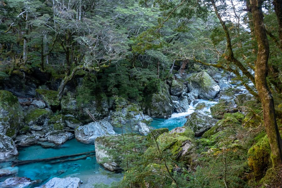 A turquoise blue river runs between mossy rocks and trees.