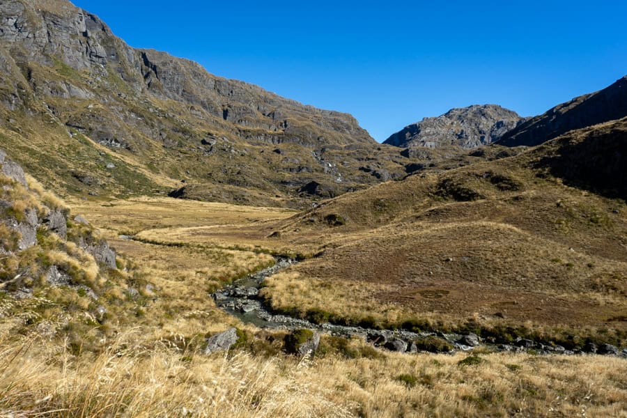 A valley with a river winding through it surrounded by high cliffs on the Routeburn.