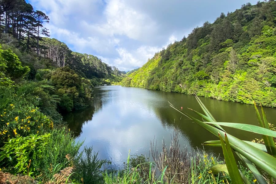 Views of Zealandia’s wetland surrounded by green hills – a visit here is one of the most unique things to do in Wellington.