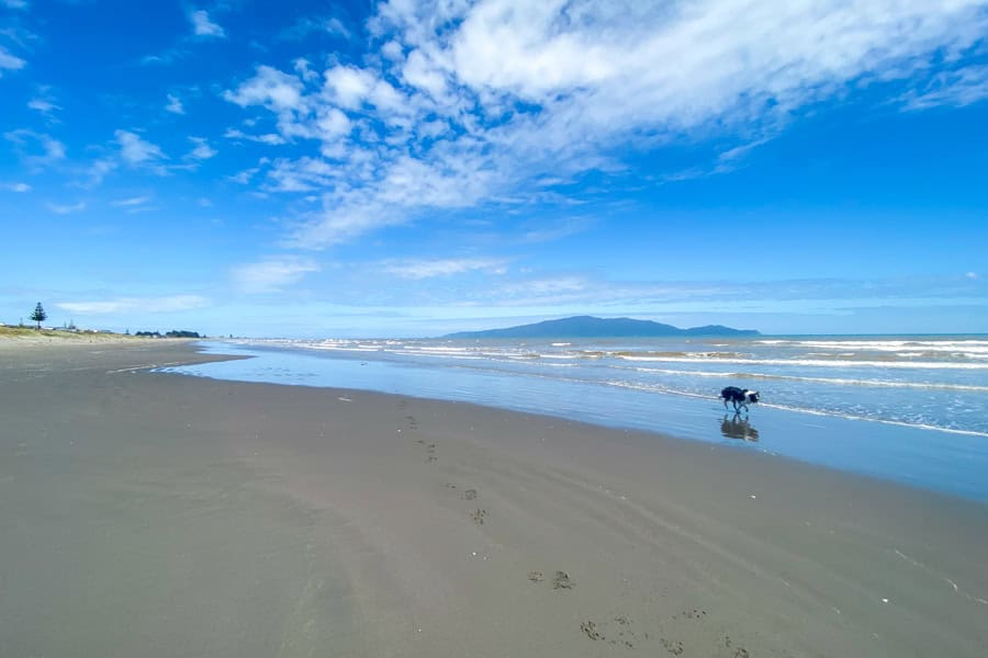 Endless sand on a Kapiti Coast beach with Kapiti Island in the background during one of our day trips from Wellington.