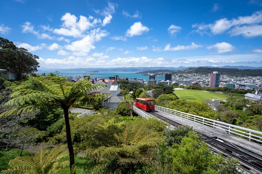 View of the historic red cable car climbing the hill with the city and harbour in the background during our Wellington visit.