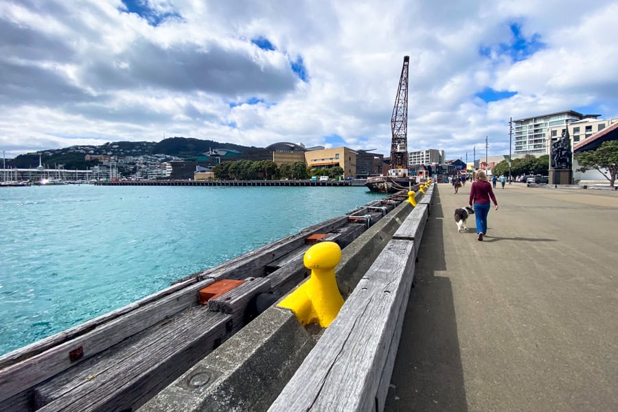 Someone walking a dog along Wellington’s waterfront on a partially sunny day with a crane in the background.