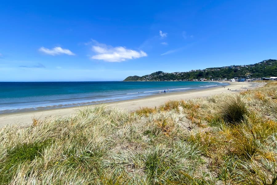 Lyall bay’s curving beach on a sunny day – it’s also one of the top surfing places to visit in Wellington when calm.