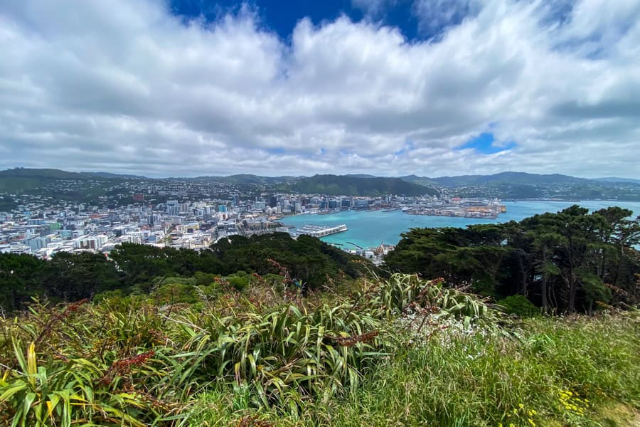 Views across the city and turquoise harbour from Mount Victoria – Wellington attractions don’t get more iconic than this.