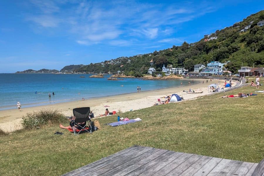 People sunbathing on the grass and sand at Scorching Bay – a Wellington must do in decent weather.