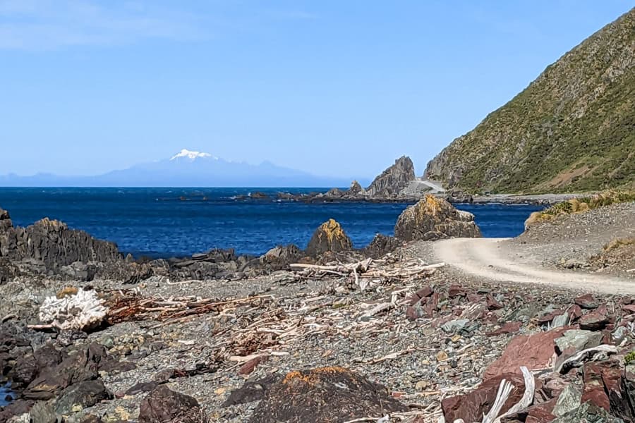Snowcapped Kaikoura mountains in the background of the Red Rocks Walk – one of the best things to do near Wellington.