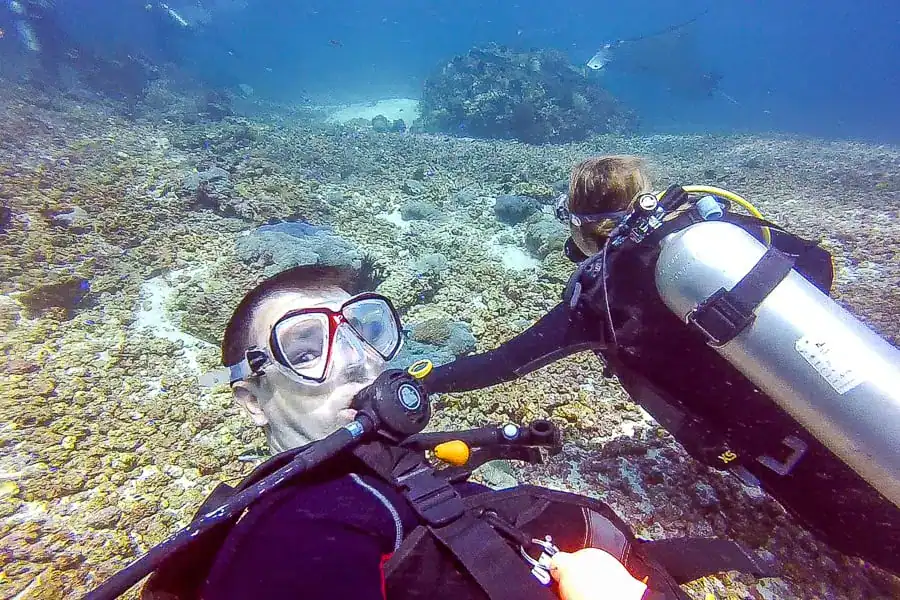 Divers take a selfie with Mantas in the background during a Komodo island diving trip.