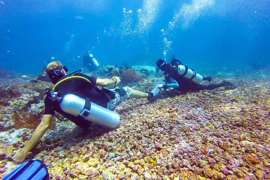 Divers hold on to rocks and fins on the seabed while watching mantas while diving in Komodo National Park.