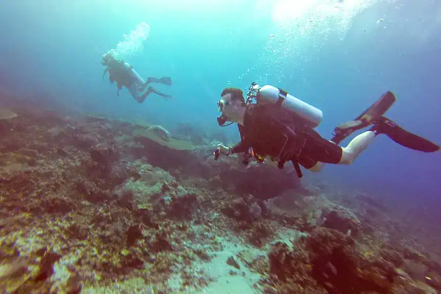 A couple of divers are swept along with the current during a Komodo island diving trip.